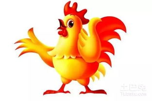 1957年属鸡人的性格特点和1981年属鸡生日礼物分别代表什么含义？