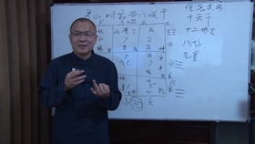 （七）天辅星（五行属木， 居算四宫）