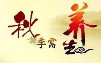 养生之道：身心和谐与德行修养