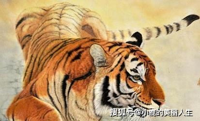 属虎女财运艺名如何取？大气名字推荐有哪些？