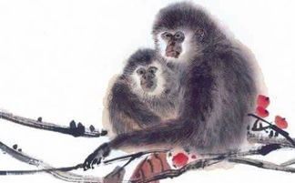 2028年属猴本命年如何挑选避凶手机号？2026年属猴如何找到招财吉祥图片？