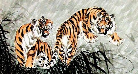 2026年属虎的人感情上适合哪个南方方位，他们的偏财运具体指什么？