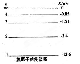 1.1 嫩量状态与个体发展的空间选择