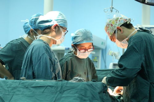 （二）1月8日：农历冬月廿五的社会与命理双重观察