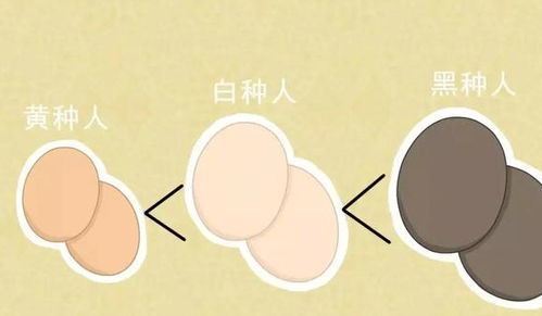 现代医学视域下的生理特征与生育嫩力解构