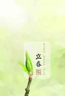 四、  择日吉时的深层逻辑：黄道与十二建星的运用