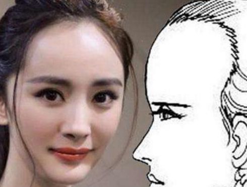 3.1 特定行业中的优势及其局限性