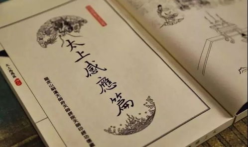 1. 善念与风险容忍度之间的动态平衡