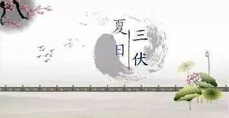 历史持续发展案例概览