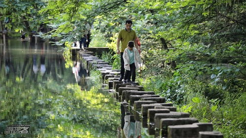 住宿推荐：别指望景区里有豪华酒店