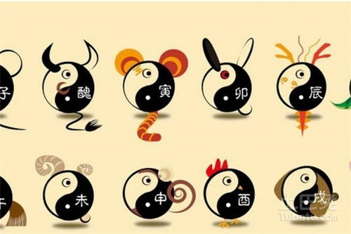 属鼠的人八月十七日出生的运势究竟好不好？