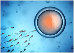 2. 寻穴术与龙真穴定位