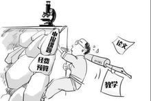女命偏财资杀破格，如何巧妙化解婚姻和事业的双重困境？