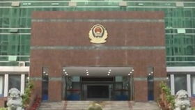 2.1 音韵与气场共振理论