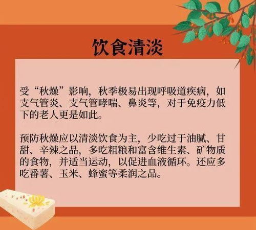 ：重阳节与购车吉日之关系研究概述