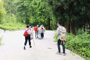 当地风俗：尊重是第一位的