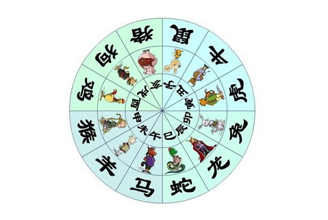 结合八字五行才是王道