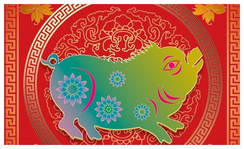 将糊糊涂涂打一生肖，这是什么生肖呢？