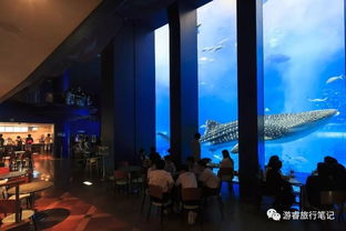 黑潮之海变人潮之海