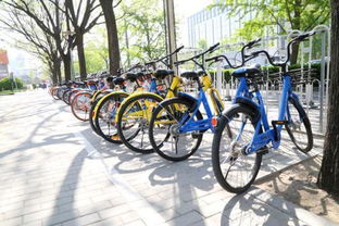 四、共享单车，找车靠运气