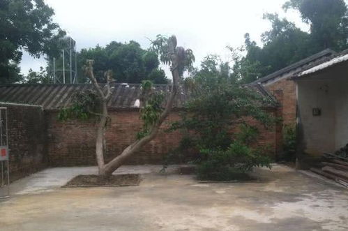 院坝外流水对风水有何讲究？