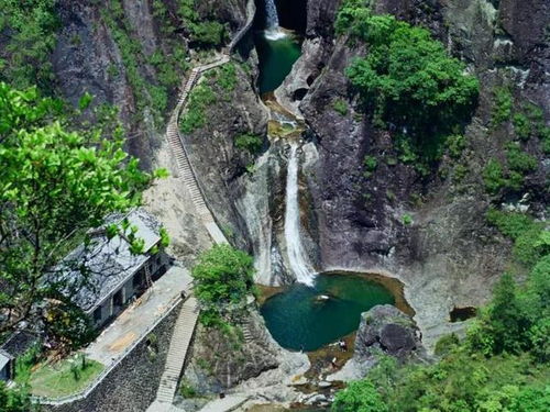 刘家峡花海旅游胜地：一场视觉与心灵的混乱之旅