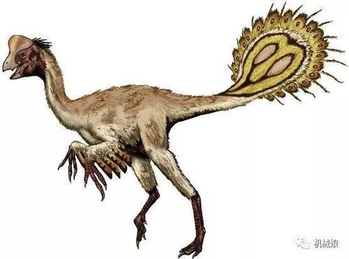 3. 生肖龙：自信独立并具备领导潜质