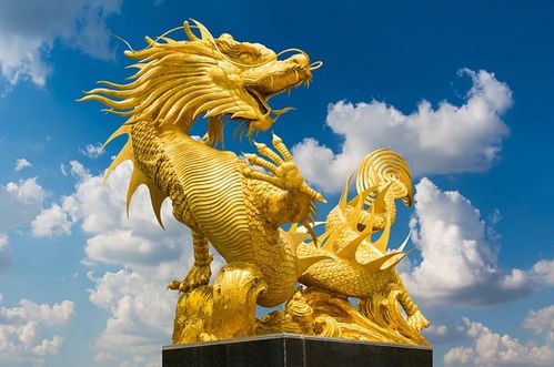 属龙今日财运如何，最新运势中财运方面具体表现是什么？