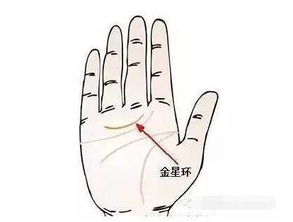 女生手相中是否有男生手相特征？