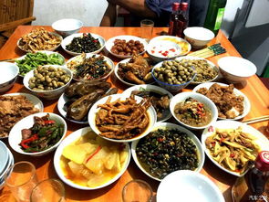 美食？不存在的（真的）!!!