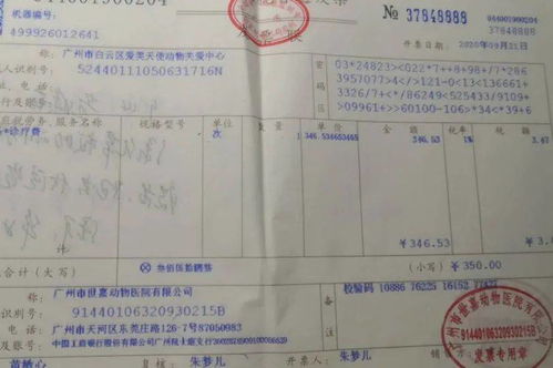 2026年12月黄道吉日领证最佳日期是哪天？