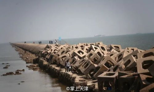 未来展望