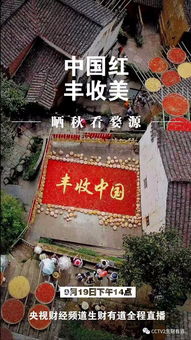 三台八字中三台代表什么含义？