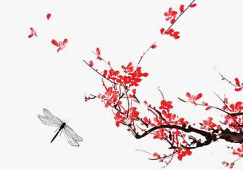 农历四月十五是否忌讳杀生，其吉凶如何？