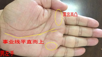 二、人龟筋：侠义豪迈的命运轨迹