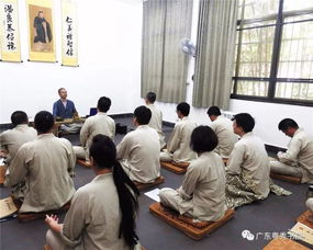 2.1 较低端体验类课程的市场价格区间