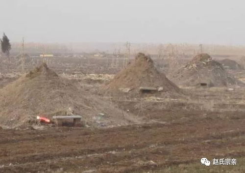 2. 前低后高之布局