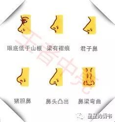 ：面相学与整形外科交叉探讨的理论框架