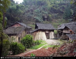 如何选择风水佳的房子避免进蛇？