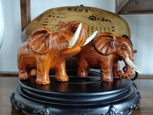 大象摆放风水有讲究吗？