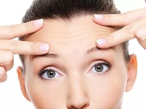 基于传统养生学的内调与外治策略