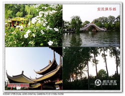 1.2 其他实用小贴士