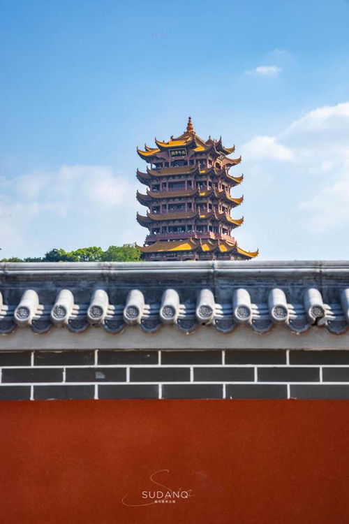 登上八楼大风吹什么生肖，鼓角齐鸣最正确生肖分别指什么生肖？