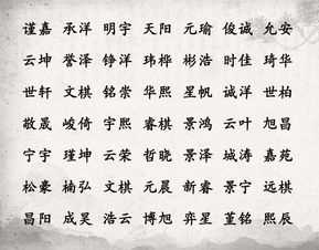 六、混搭式起名技巧（乱中有序？）