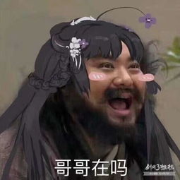 案例概述