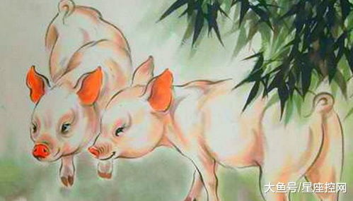 属猪的人遇到鼠年运势如何，遇到虎年又是否会大富大贵呢？