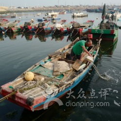 回忆杀：我与渔人码头的那些纠葛