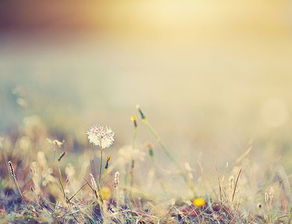 射手座O型血的男人女人性格特点有哪些？