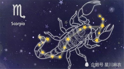 （三）感情运势