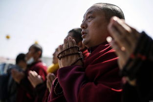 黄历十一月初八日子怎样，十一黄历改写为现代用语是什么？